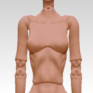 (BJD) BODY-特體1/4